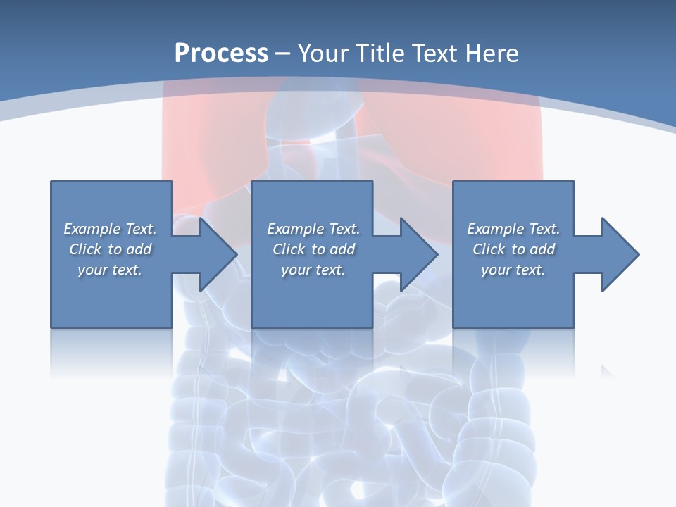 A Medical Powerpoint Presentation With A Diagram Of The Lungs PowerPoint Template