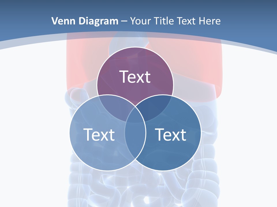 A Medical Powerpoint Presentation With A Diagram Of The Lungs PowerPoint Template