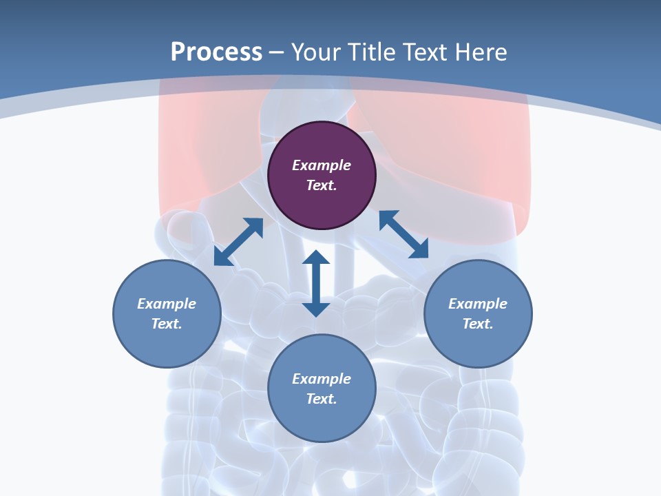 A Medical Powerpoint Presentation With A Diagram Of The Lungs PowerPoint Template