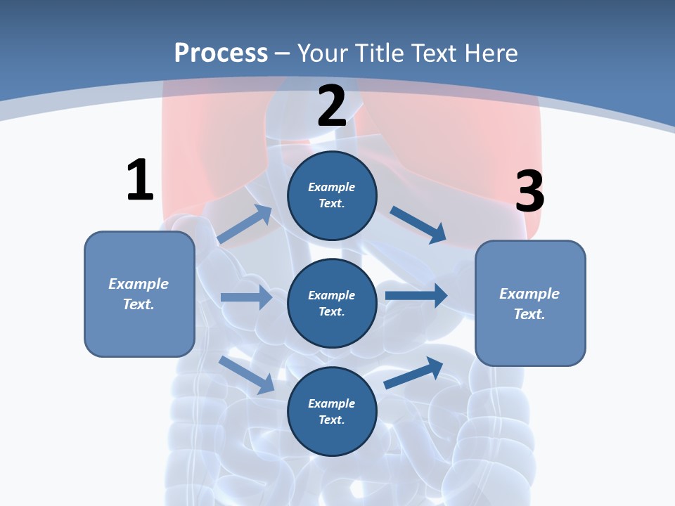 A Medical Powerpoint Presentation With A Diagram Of The Lungs PowerPoint Template