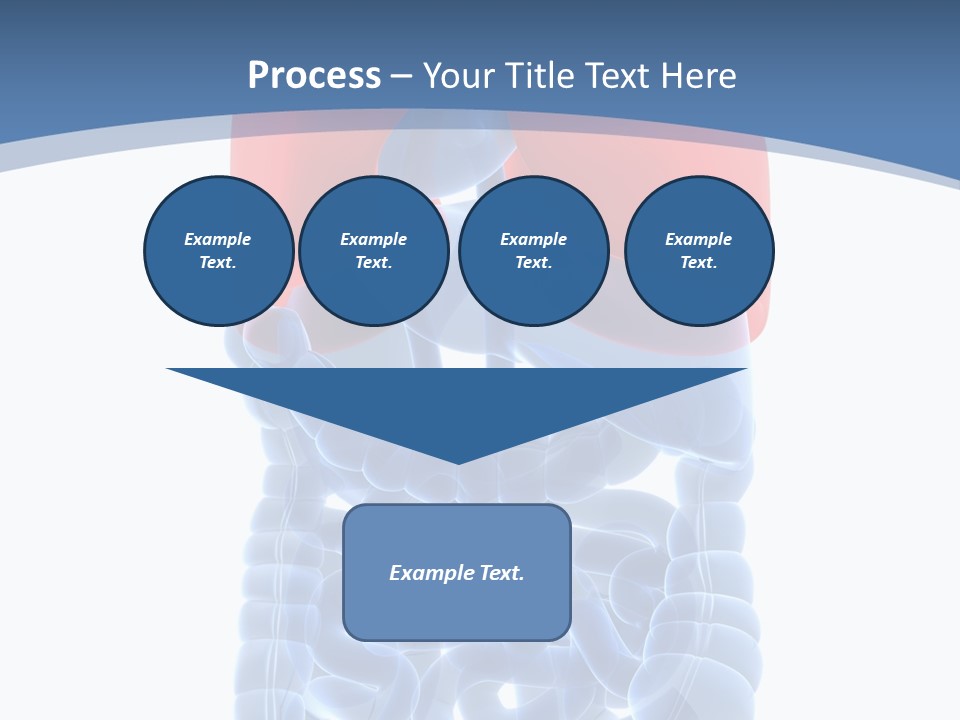 A Medical Powerpoint Presentation With A Diagram Of The Lungs PowerPoint Template