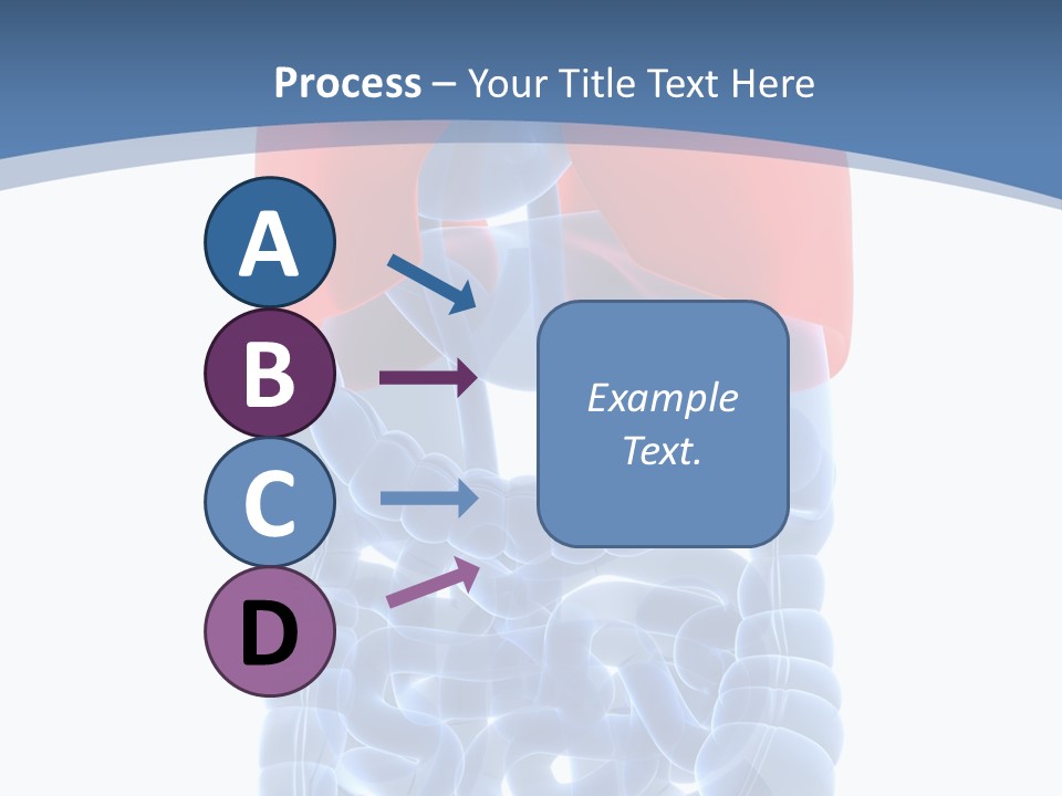 A Medical Powerpoint Presentation With A Diagram Of The Lungs PowerPoint Template