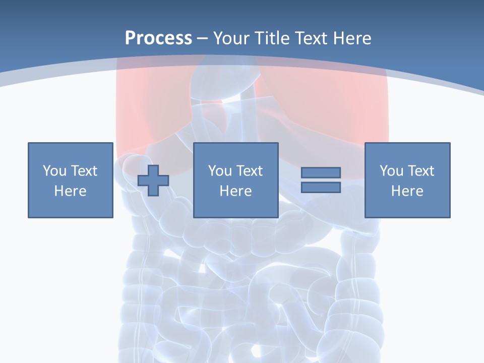 A Medical Powerpoint Presentation With A Diagram Of The Lungs PowerPoint Template