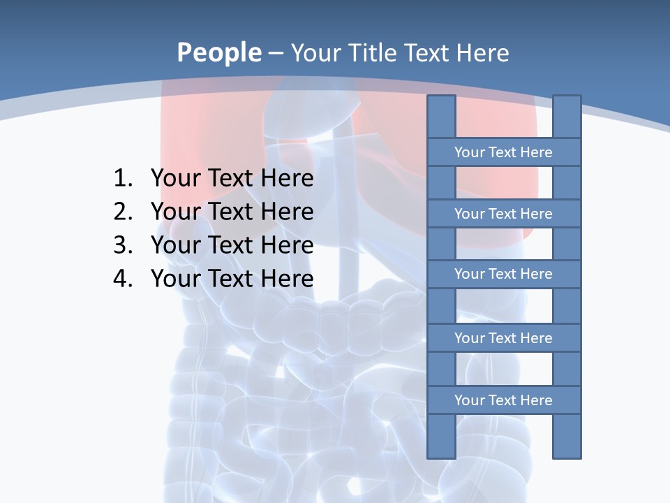 A Medical Powerpoint Presentation With A Diagram Of The Lungs PowerPoint Template