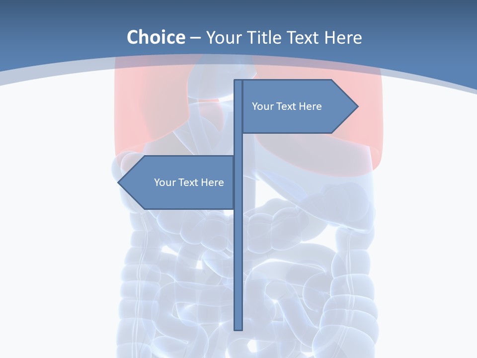 A Medical Powerpoint Presentation With A Diagram Of The Lungs PowerPoint Template