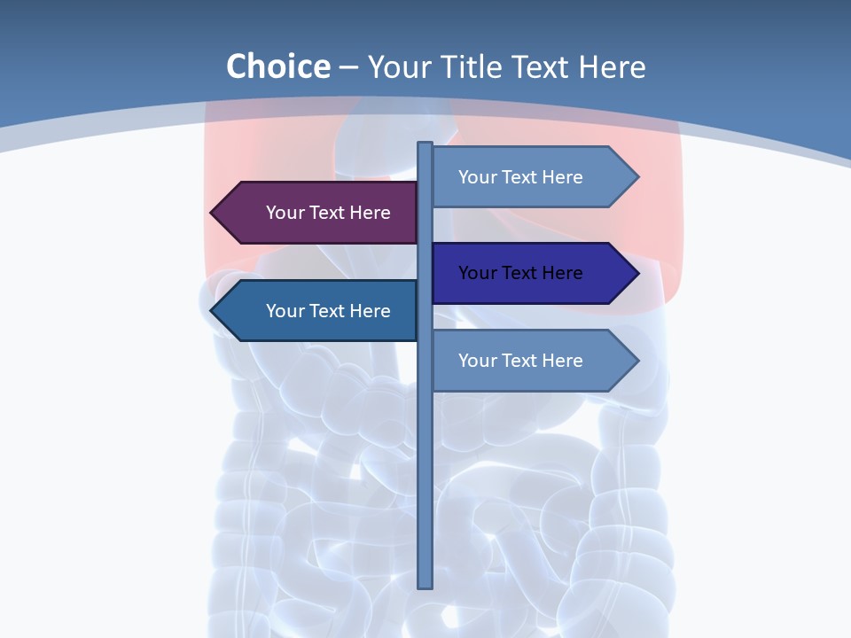 A Medical Powerpoint Presentation With A Diagram Of The Lungs PowerPoint Template