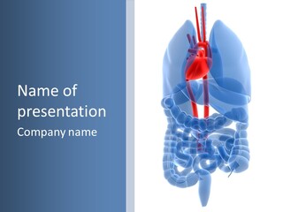 Inflammation Internal Abdomen PowerPoint Template