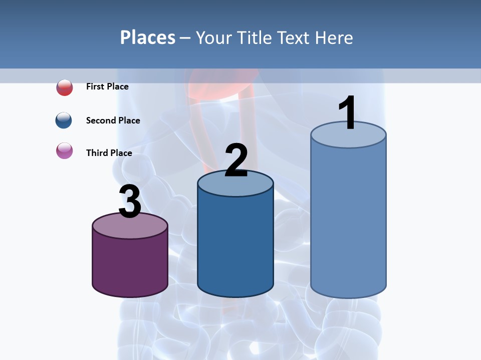 Inflammation Internal Abdomen PowerPoint Template