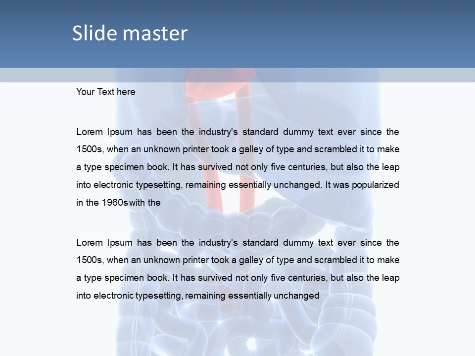 Inflammation Internal Abdomen PowerPoint Template