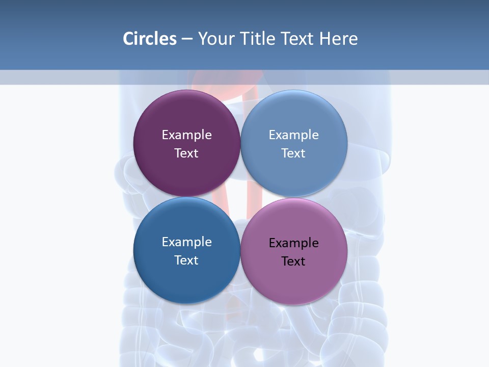 Inflammation Internal Abdomen PowerPoint Template