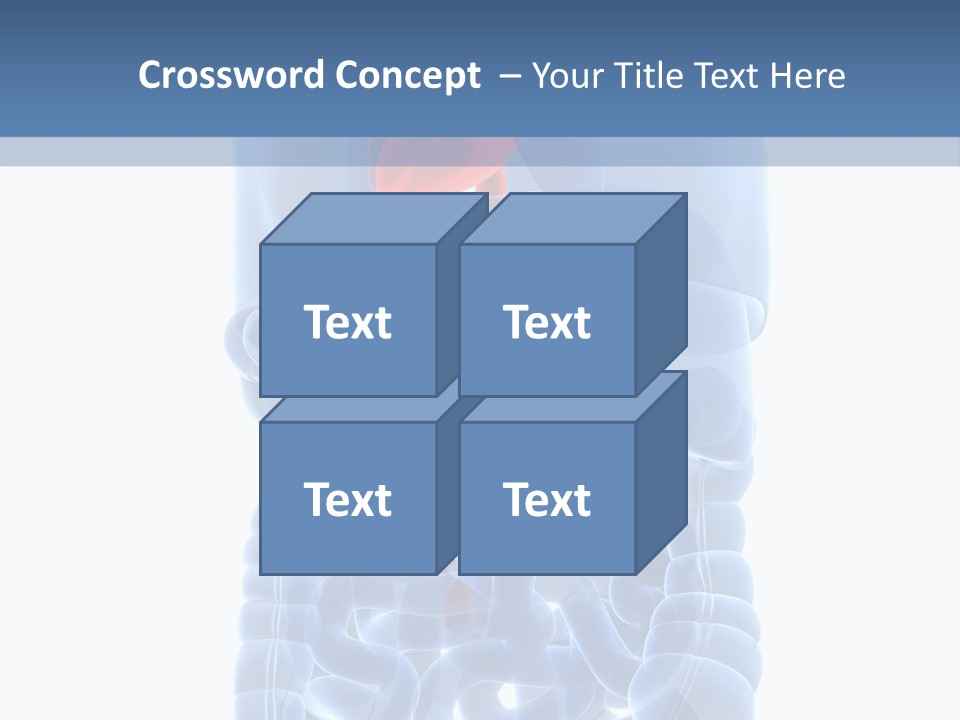 Inflammation Internal Abdomen PowerPoint Template