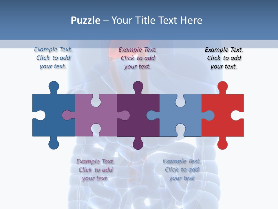 Inflammation Internal Abdomen PowerPoint Template