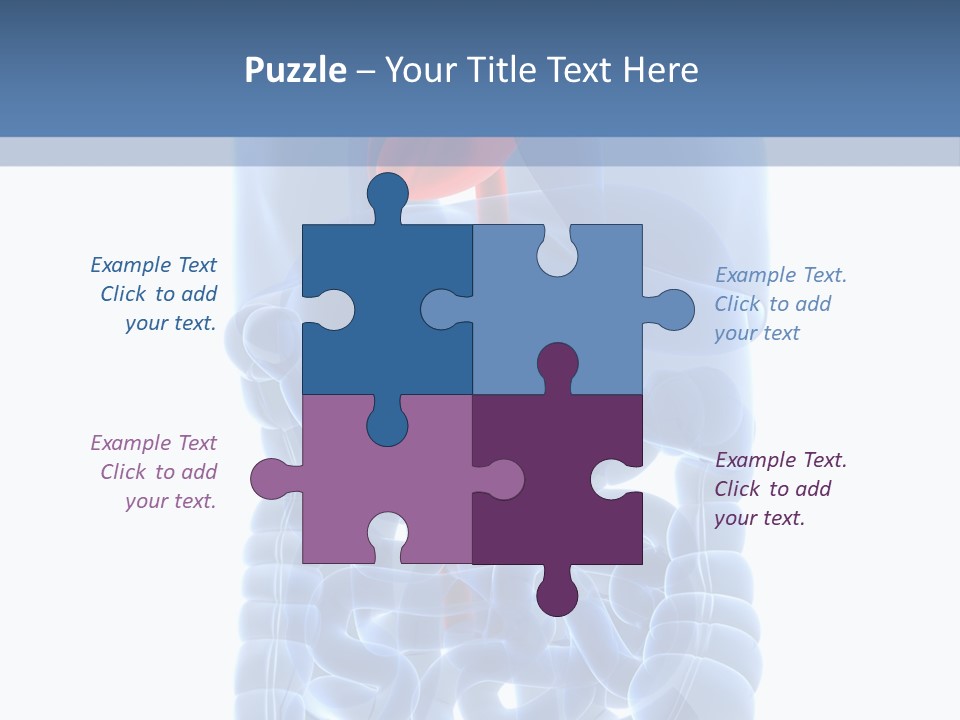 Inflammation Internal Abdomen PowerPoint Template