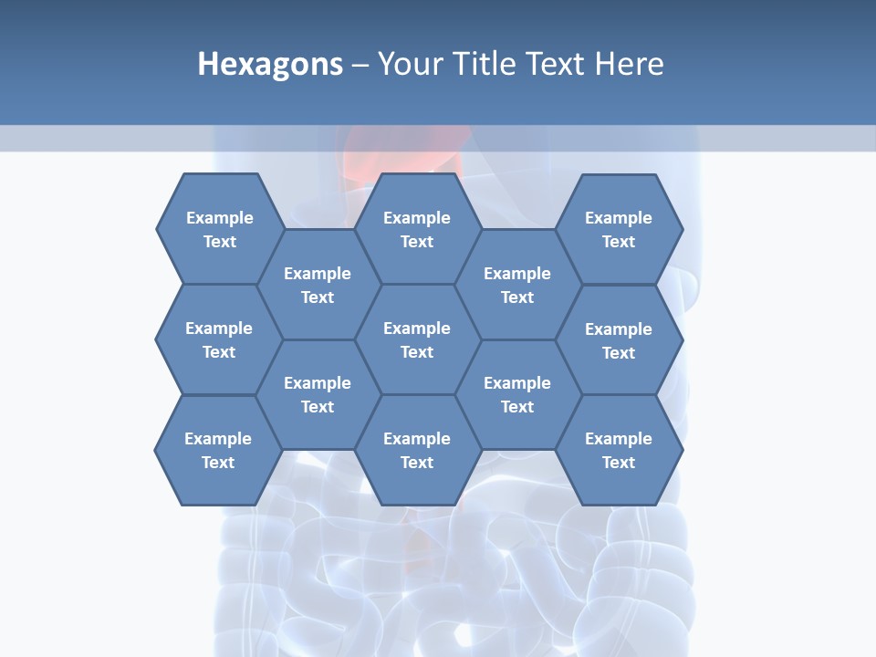 Inflammation Internal Abdomen PowerPoint Template