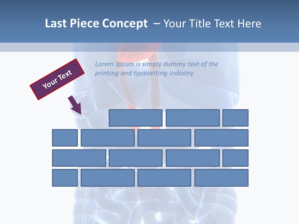Inflammation Internal Abdomen PowerPoint Template