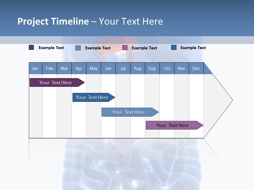 Inflammation Internal Abdomen PowerPoint Template