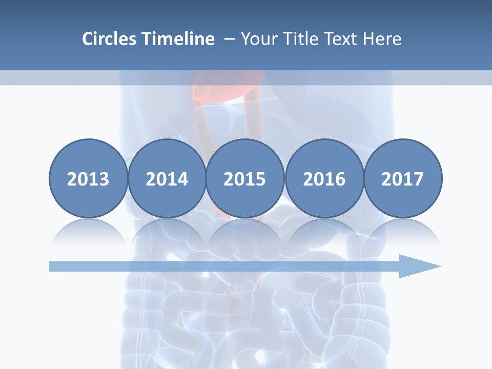 Inflammation Internal Abdomen PowerPoint Template