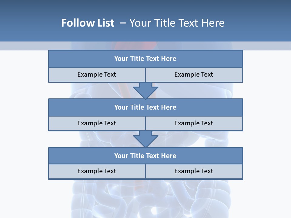 Inflammation Internal Abdomen PowerPoint Template