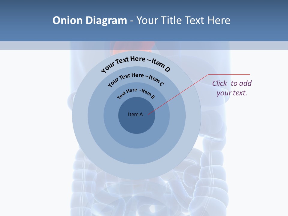 Inflammation Internal Abdomen PowerPoint Template