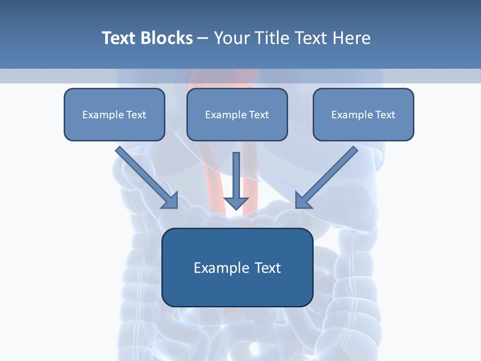 Inflammation Internal Abdomen PowerPoint Template