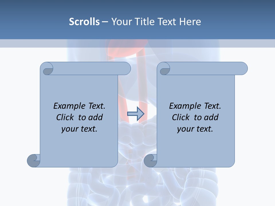 Inflammation Internal Abdomen PowerPoint Template