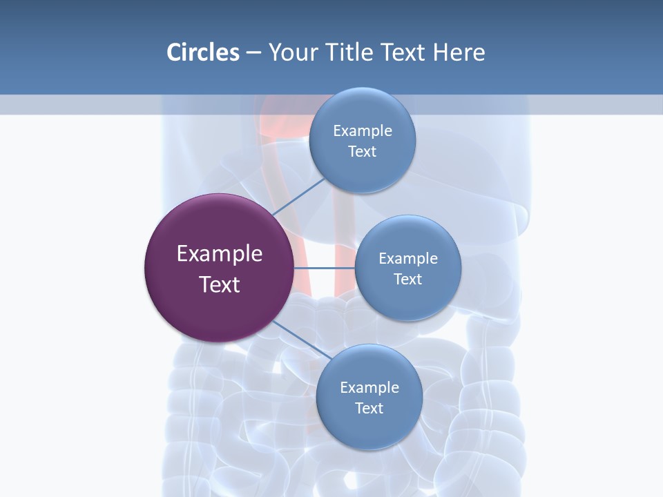 Inflammation Internal Abdomen PowerPoint Template