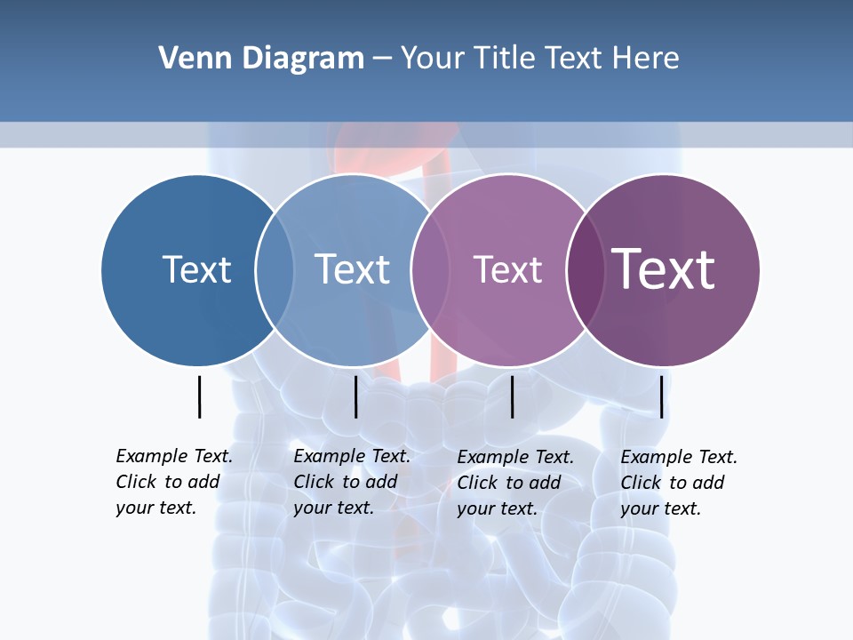 Inflammation Internal Abdomen PowerPoint Template