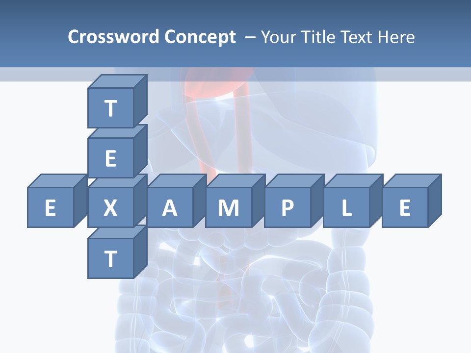 Inflammation Internal Abdomen PowerPoint Template