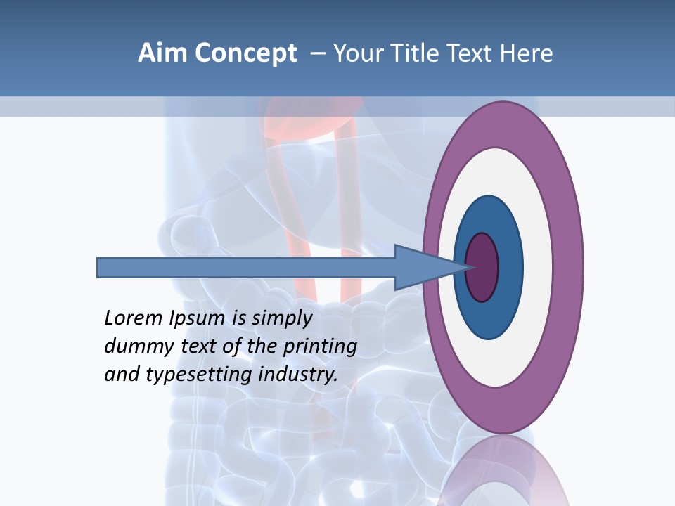 Inflammation Internal Abdomen PowerPoint Template