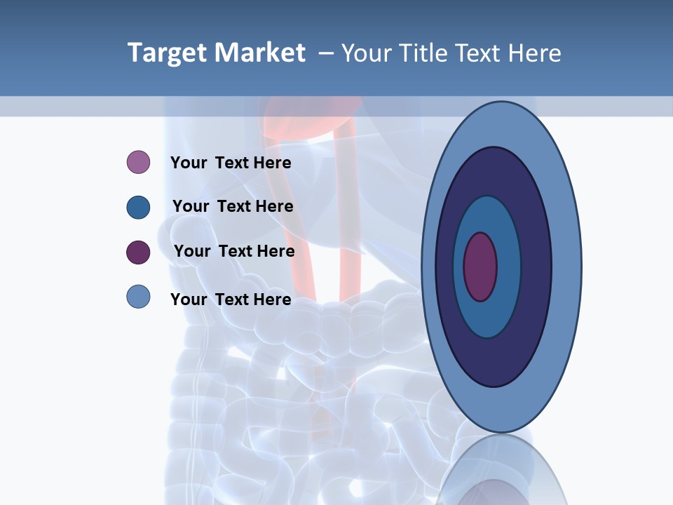 Inflammation Internal Abdomen PowerPoint Template