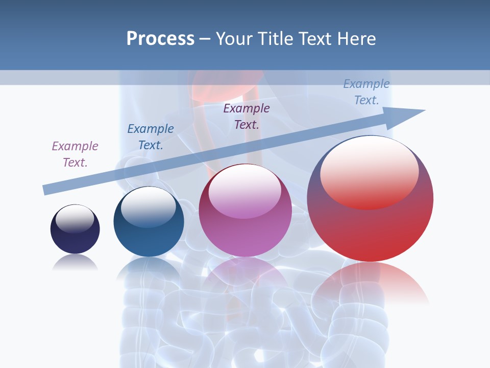 Inflammation Internal Abdomen PowerPoint Template