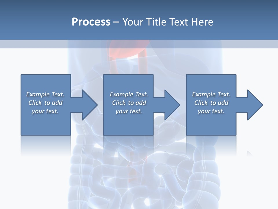 Inflammation Internal Abdomen PowerPoint Template