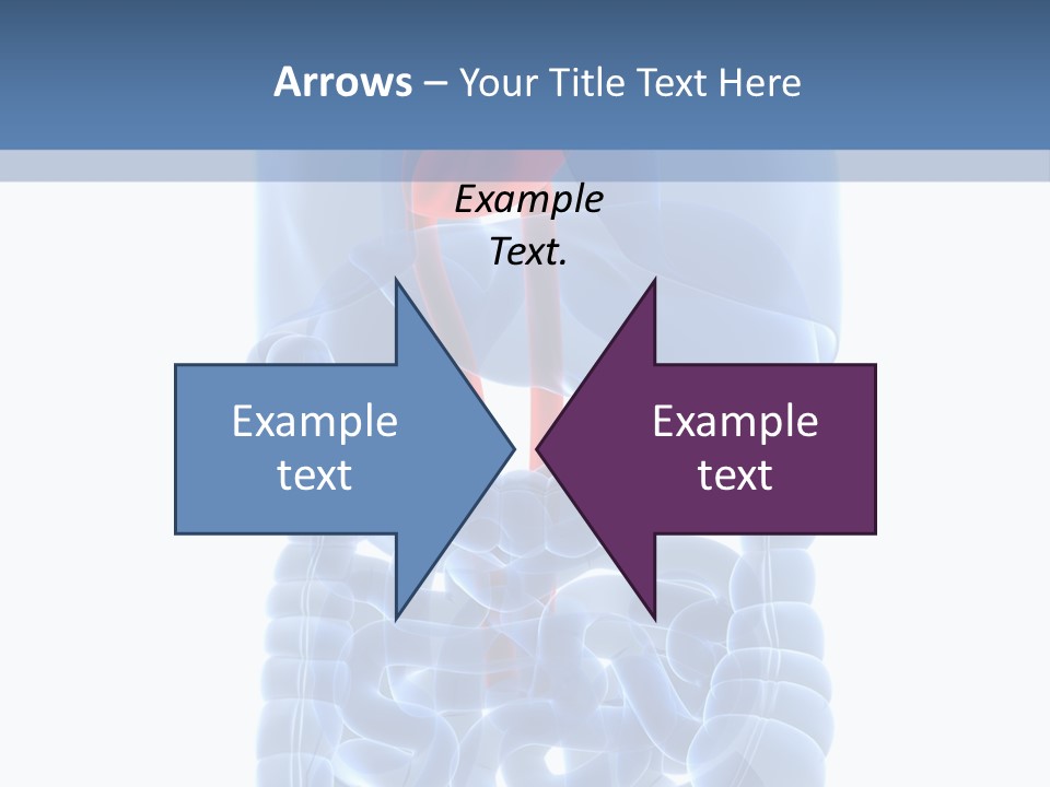 Inflammation Internal Abdomen PowerPoint Template