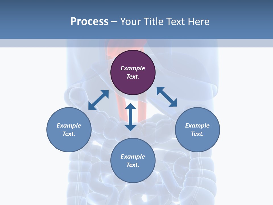 Inflammation Internal Abdomen PowerPoint Template