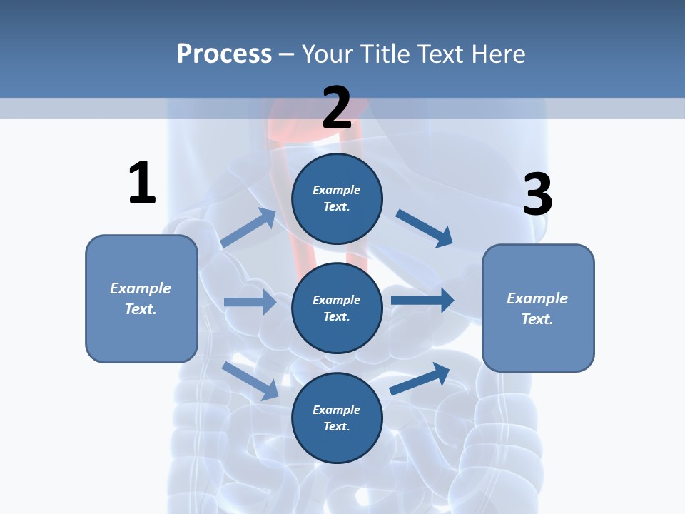 Inflammation Internal Abdomen PowerPoint Template