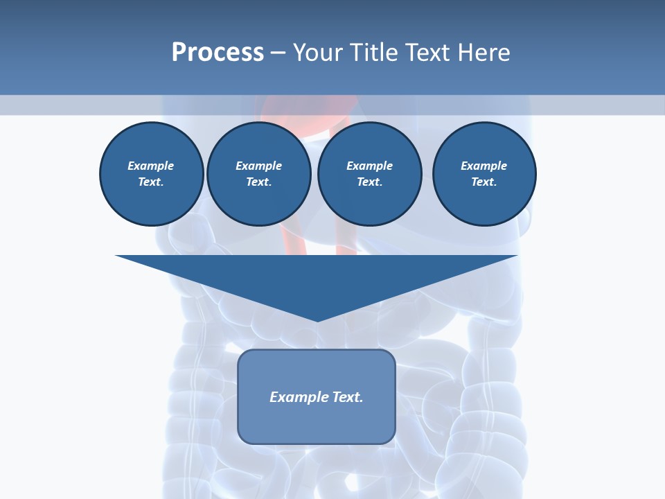 Inflammation Internal Abdomen PowerPoint Template