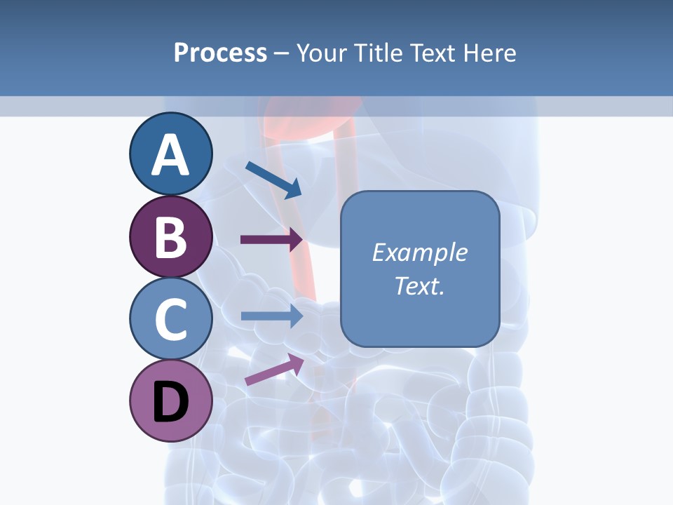 Inflammation Internal Abdomen PowerPoint Template
