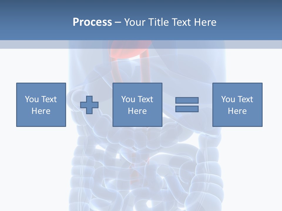 Inflammation Internal Abdomen PowerPoint Template