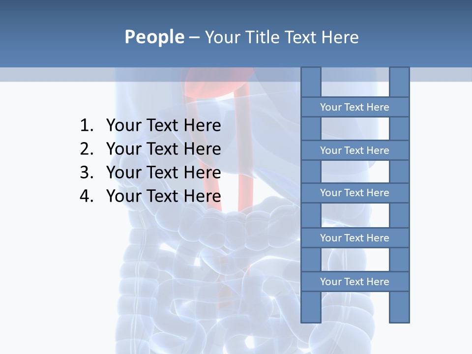 Inflammation Internal Abdomen PowerPoint Template