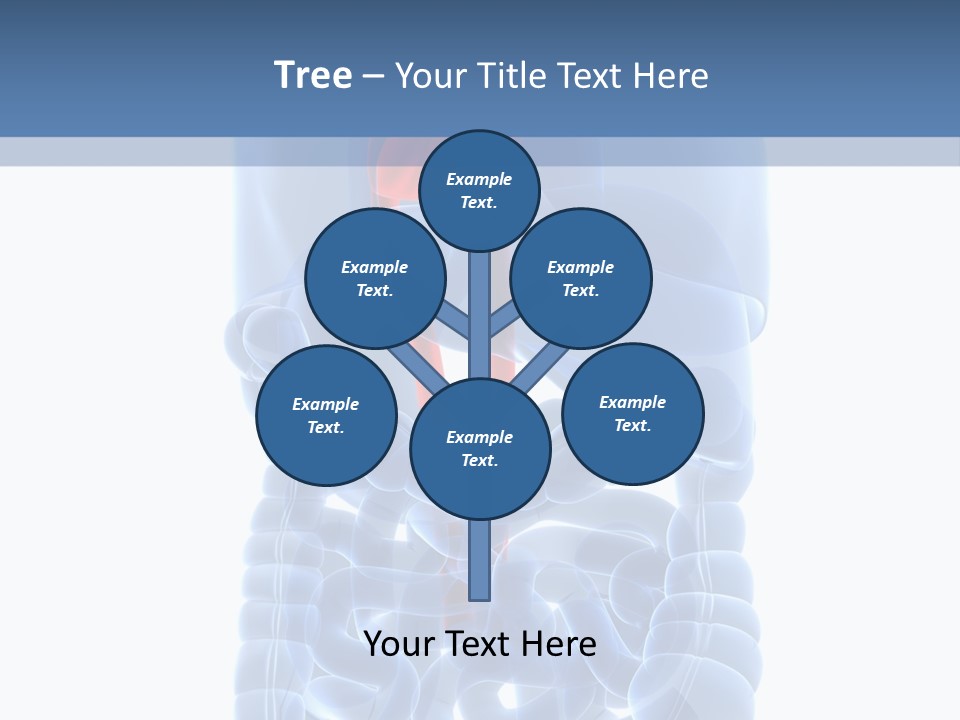 Inflammation Internal Abdomen PowerPoint Template