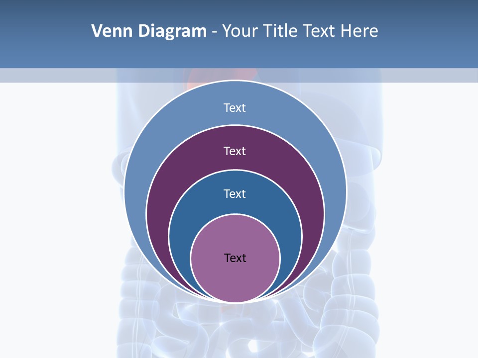 Inflammation Internal Abdomen PowerPoint Template