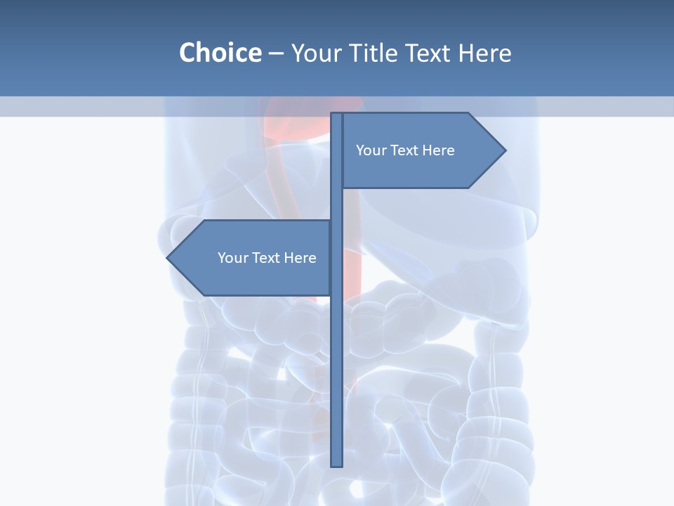 Inflammation Internal Abdomen PowerPoint Template