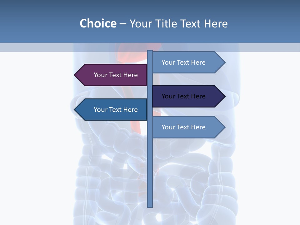 Inflammation Internal Abdomen PowerPoint Template