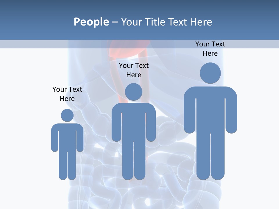 Inflammation Internal Abdomen PowerPoint Template