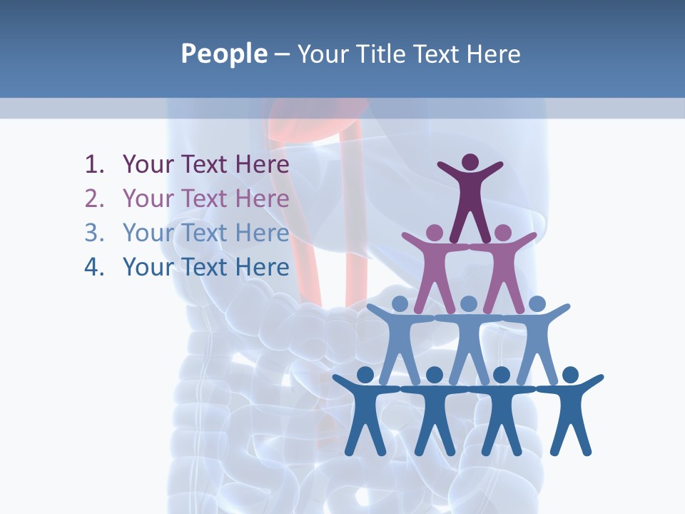 Inflammation Internal Abdomen PowerPoint Template