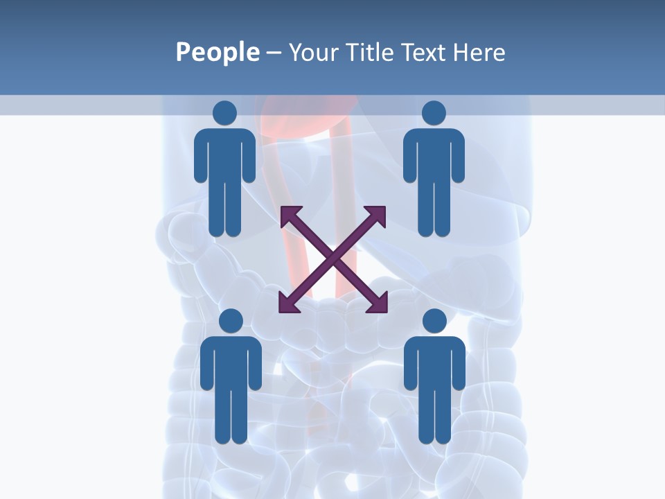 Inflammation Internal Abdomen PowerPoint Template