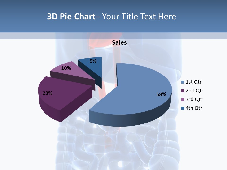 Inflammation Internal Abdomen PowerPoint Template
