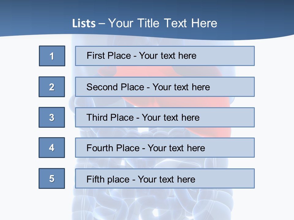 Anatomy Highlighted Belly PowerPoint Template
