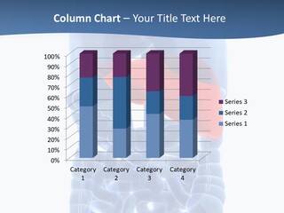 Anatomy Highlighted Belly PowerPoint Template