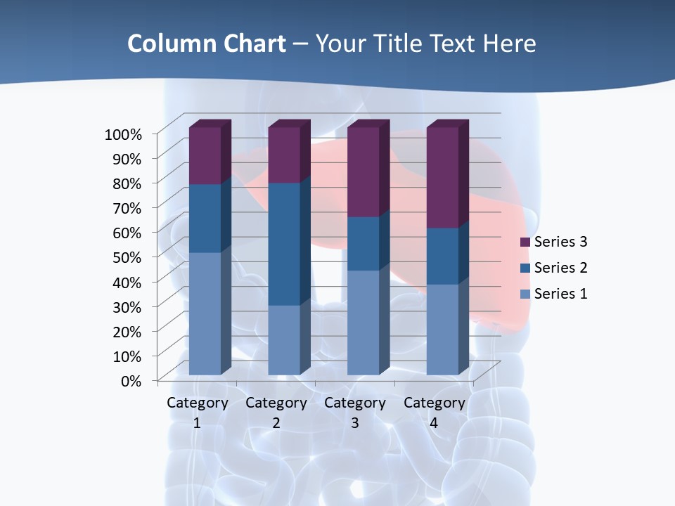 Anatomy Highlighted Belly PowerPoint Template